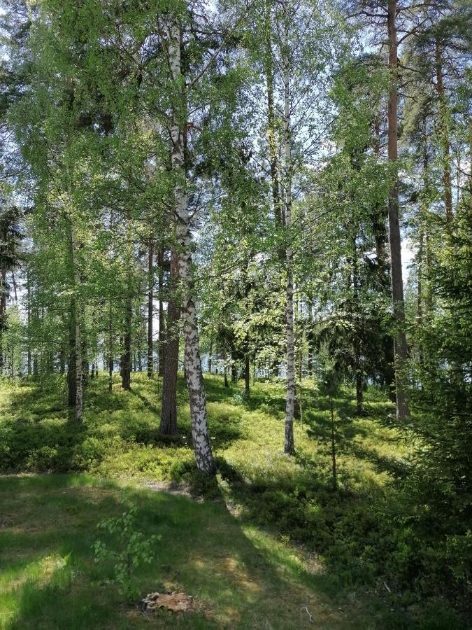 Birgittagarden - Gaesthem - Birgittasystrarna Falun Exterior foto